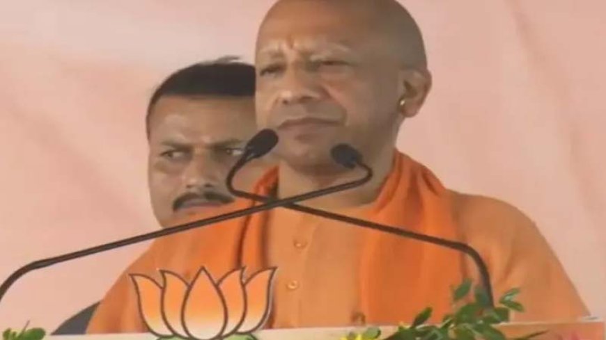 उत्तर प्रदेश विधानसभा चुनावों में बीजेपी ने मारी बाजी, 9 सीटों में से सात पर कब्जा जमाया