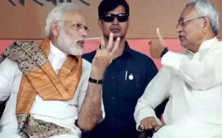 अमित शाह की रहस्यमय प्रतिक्रिया के बाद बीजेपी ने नीतीश कुमार को बिहार चुनाव के लिए एनडीए का चेहरा घोषित किया