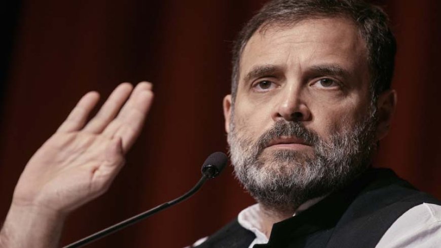 इलाहाबाद हाईकोर्ट ने राहुल गांधी की नागरिकता याचिका पर केंद्र को और समय दिया