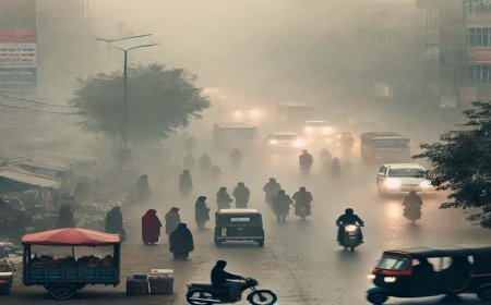 नये साल पर राजस्थान में ठंड का असर बढ़ा, सुबह छाया रहा घना कोहरा