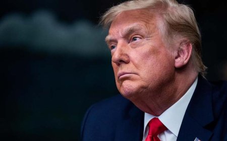 ट्रंप के जन्मसिद्ध नागरिकता आदेश को अमेरिका के जज ने "स्पष्ट रूप से असंवैधानिक" बताते हुए रोका