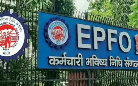 EPFO में यंग प्रोफेशनल्स की भर्ती, 50 हजार से अधिक सैलरी, तुरंत करें आवेदन
