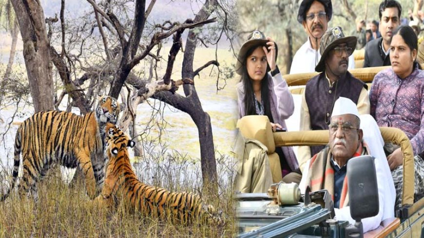 राज्यपाल हरिभाऊ बागडे ने रणथंभौर नेशनल पार्क में देखे अठखेलियां करते बाघिन रिद्धि और उसके शावक