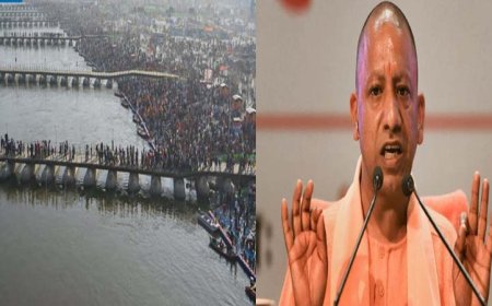 महा कुंभ: माघी पूर्णिमा स्नान के दौरान सीएम योगी की निगरानी, लाखों श्रद्धालुओं की संगम में आस्था की डुबकी