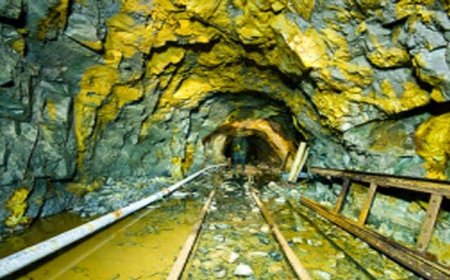 इंडस नदी में पाकिस्तान को फिर मिले ₹80,000 करोड़ के सोने के भंडार – भारत का क्या है कनेक्शन?