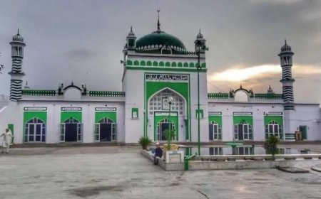 संभल मस्जिद की बाहरी सफेदी पर हाईकोर्ट ने ASI से मांगा जवाब