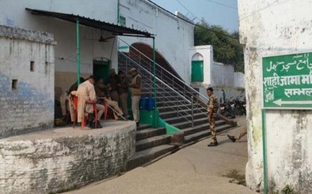 संभल मस्जिद के हिस्सों की एक सप्ताह में कराई जाए सफेदी, ASI को इलाहाबाद हाईकोर्ट का आदेश