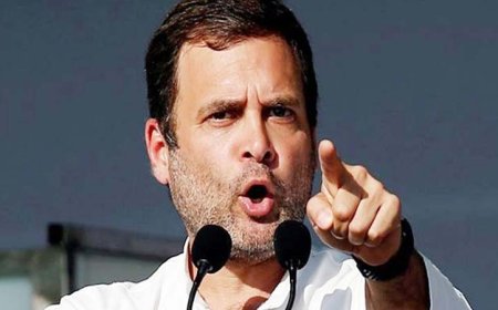 राजस्थान में कांग्रेस कार्यकर्ताओं का 'डीएनए टेस्ट', राहुल गांधी के 'बीजेपी के लिए काम करने वालों को छांटो' बयान के कुछ दिन बाद की कार्रवाई