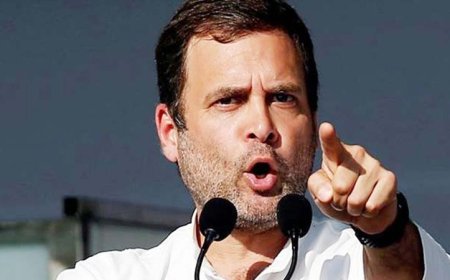 आरएसएस को शिक्षा व्यवस्था पर नियंत्रण से रोकने के लिए एकजुट है INDIA गठबंधन: राहुल गांधी