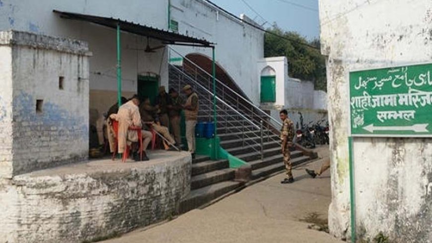 संभल मस्जिद के हिस्सों की एक सप्ताह में कराई जाए सफेदी, ASI को इलाहाबाद हाईकोर्ट का आदेश