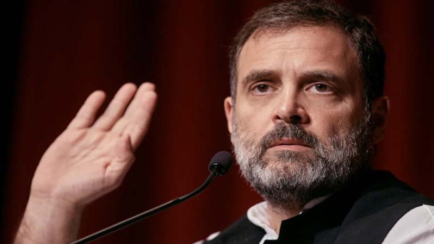 राहुल गांधी की नागरिकता: हाईकोर्ट ने केंद्र को जवाब दाखिल करने के लिए और समय दिया