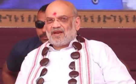 'हथियार छोड़िए, विकास का हिस्सा बनिए': नक्सलियों से अमित शाह की अपील