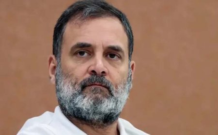 इलाहाबाद हाईकोर्ट ने केंद्र से राहुल गांधी की नागरिकता स्पष्ट करने को कहा