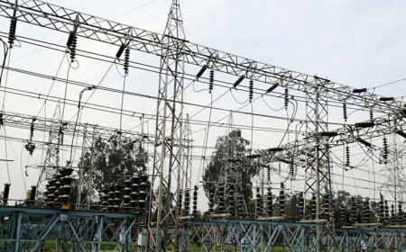 वक्फ (संशोधन) अधिनियम 2025 के खिलाफ प्रदर्शन में गांव की बिजली काटने वाले संविदा लाइनमैन को नौकरी से निकाला गया