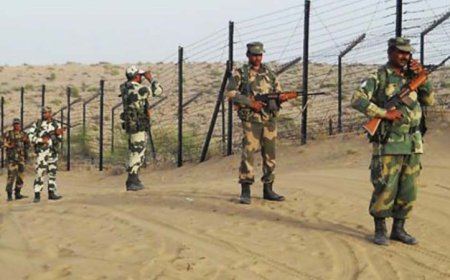 पहलगाम हमले के बाद उपजे तनाव के बीच राजस्थान में BSF ने पाकिस्तानी रेंजर को किया गिरफ्तार