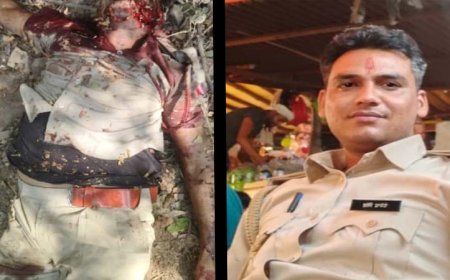 क्या लापरवाही बनी रणथंभौर में रेंज ऑफिसर की मौत की वजह?