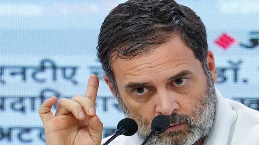 राहुल गांधी की नागरिकता रद्द करने की याचिका पर हाईकोर्ट का फैसला, केंद्र सरकार को शीघ्र निर्णय लेने का निर्देश