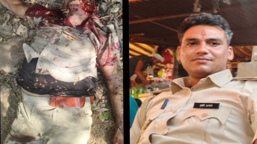 क्या लापरवाही बनी रणथंभौर में रेंज ऑफिसर की मौत की वजह?
