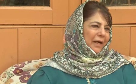 जम्मू-कश्मीर: महबूबा मुफ्ती ने उपराज्यपाल से मुलाकात कर कश्मीरी पंडितों की सम्मानजनक वापसी और राजनीतिक आरक्षण की मांग की