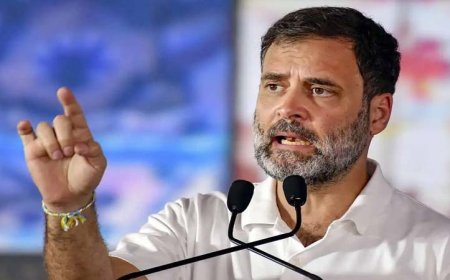 इलाहाबाद हाईकोर्ट ने राहुल गांधी की नागरिकता से जुड़े मामले को नए सबूतों के आधार पर फिर से खोला