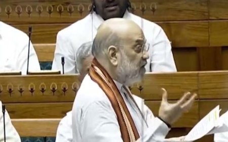 'हमने युद्ध घोषित नहीं किया': पाकिस्तान के खिलाफ संघर्ष समाप्त करने पर अमित शाह का बयान