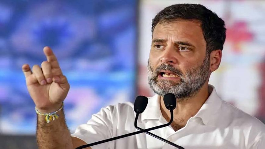 इलाहाबाद हाईकोर्ट ने राहुल गांधी की नागरिकता से जुड़े मामले को नए सबूतों के आधार पर फिर से खोला