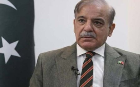 ‘इन 3 हालातों में पाकिस्तान भारत पर करेगा परमाणु हमला’, शाहबाज़ शरीफ़ के करीबी नजम सेठी का बयान