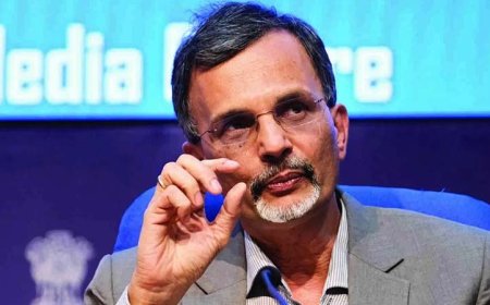 मुख्य आर्थिक सलाहकार ने जताई उम्मीद, 30 नवंबर के बाद हट सकता है पेनल टैरिफ