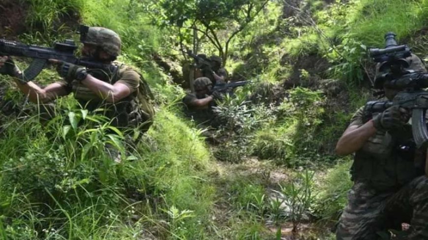 छत्तीसगढ़ के गरियाबंद में मुठभेड़, 10 नक्सली ढेर