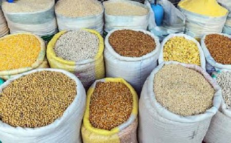 भारत ने 2024-25 में  353.96 मिलियन टन के साथ खाद्यान्न उत्पादन का नया रिकॉर्ड बनाया..!