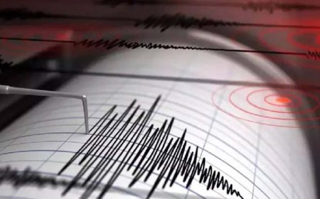 फिलीपींस में 7.6 तीव्रता का भीषण भूकंप, सुनामी की चेतावनी जारी