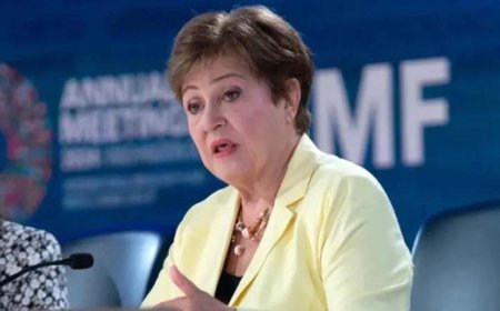 भारत ने अपने सुधारों से आलोचकों को गलत साबित किया: IMF प्रमुख