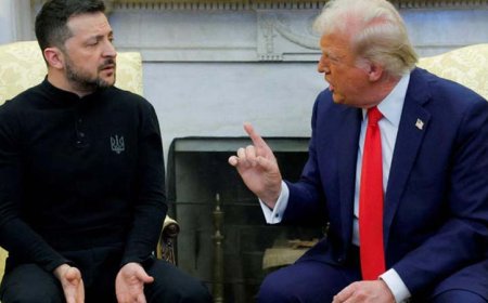 ‘पुतिन का प्रस्ताव मानो या…’: व्हाइट हाउस बैठक में ट्रंप ने ज़ेलेंस्की पर जताया गुस्सा