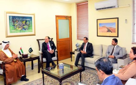 यूएई ने अधिकतर पाकिस्तानी नागरिकों को वीज़ा जारी करना रोका; पाक पासपोर्ट प्रतिबंध पर भी विचार हुआ: रिपोर्ट