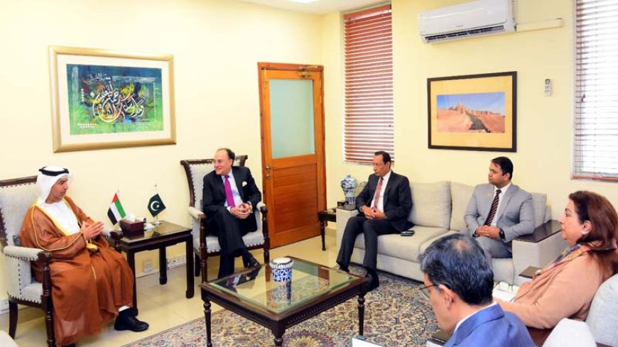 यूएई ने अधिकतर पाकिस्तानी नागरिकों को वीज़ा जारी करना रोका; पाक पासपोर्ट प्रतिबंध पर भी विचार हुआ: रिपोर्ट