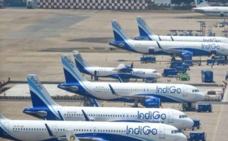 क्या IndiGo भारत की एविएशन इंडस्ट्री के लिए ‘Too Big To Fail’ बन गई है?