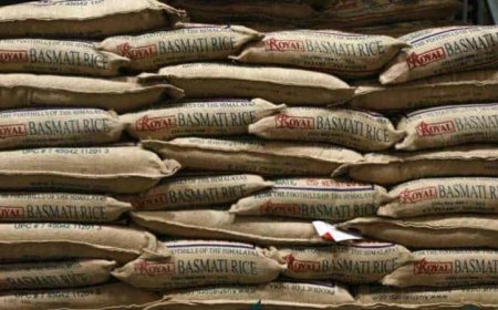 ईरान में प्रतिबंधों का असर, भारत के बासमती कारोबार पर असर; 2,000 करोड़ रुपये की खेप बंदरगाहों पर फंसी
