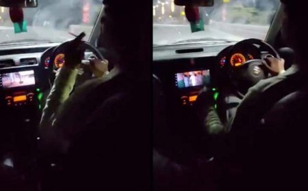 उदयपुर कार हादसा वीडियो: तेज़ हरियाणवी गाना, हाथ में सिगरेट, 140 किमी/घंटा की रफ्तार, कोई ब्रेक नहीं—और फिर ‘मम्मी बचा लो’