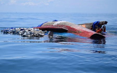 अंडमान सागर में नाव डूबी, 250 से अधिक लोगों के लापता होने की आशंका; रोहिंग्या शरणार्थी भी सवार