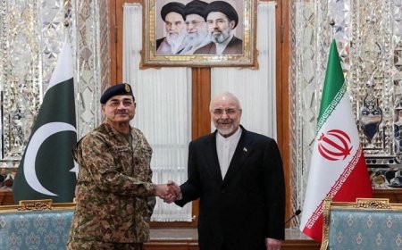 ‘दबंगई भरा व्यवहार’: हॉर्मुज़ के पास अमेरिकी कार्रवाई के बाद ईरान ने पाकिस्तान के शहबाज शरीफ से की बात