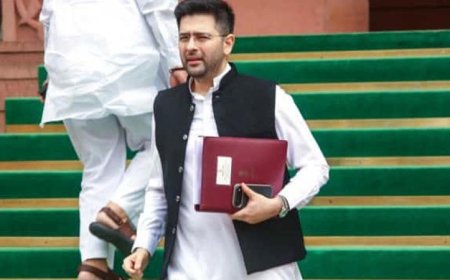 राघव चड्ढा: 22 साल की उम्र में CA बने, AAP के ‘फाइनेंशियल आर्किटेक्ट’ और 2026 में BJP के बड़े दांव