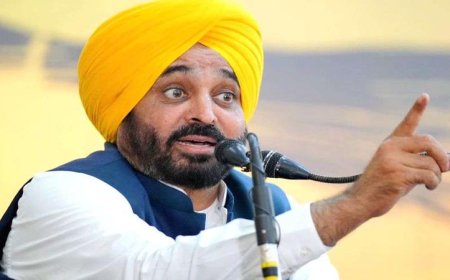 ‘पंजाब के गद्दार’: AAP सांसदों के दल-बदल पर CM भगवंत मान का तीखा हमला