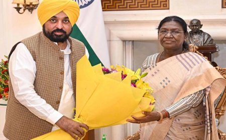 दिल्ली में राष्ट्रपति से मिले पंजाब के मुख्यमंत्री मान, दलबदल करने वाले सांसदों को वापस बुलाने की मांग