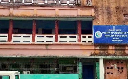 बंगाल सरकार के ‘होल्डिंग सेंटर’ फैसले के बाद हाकिमपुर बॉर्डर से बांग्लादेश लौटने की होड़