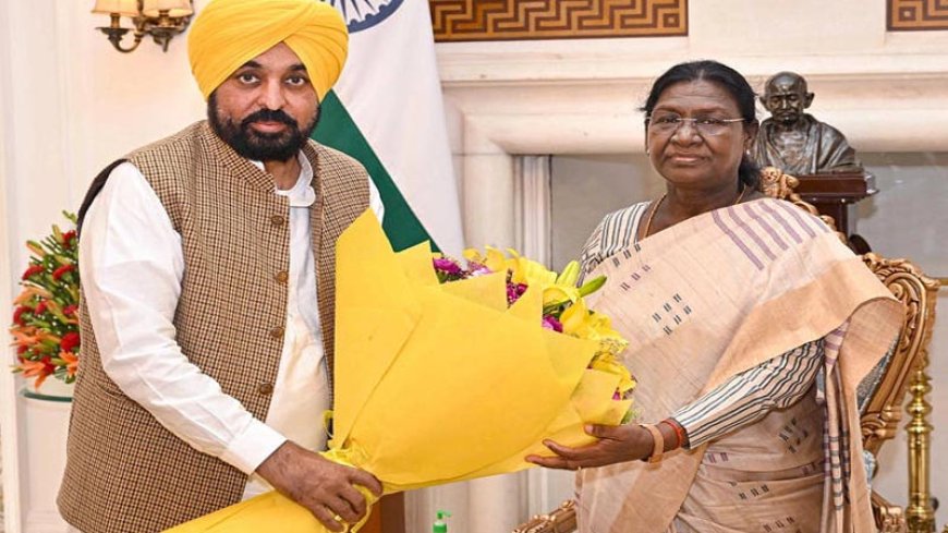 दिल्ली में राष्ट्रपति से मिले पंजाब के मुख्यमंत्री मान, दलबदल करने वाले सांसदों को वापस बुलाने की मांग