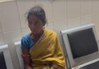 ओडिशा: जहरीले सांप ने काटा तो महिला ने दिखाई गजब की बहादुरी, जिंदा सांप को डिब्बे में बंद कर अस्पताल पहुंची