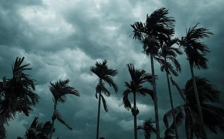 भारत में दक्षिण-पश्चिम मानसून की एंट्री, केरल में भारी बारिश