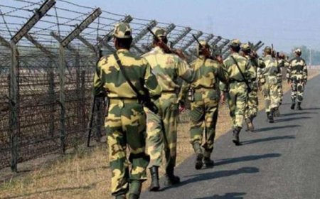 भारत-बांग्लादेश सीमा पर गतिरोध समाप्त, बीएसएफ का दावा..सभी अवैध घुसपैठिए बांग्लादेश लौटे