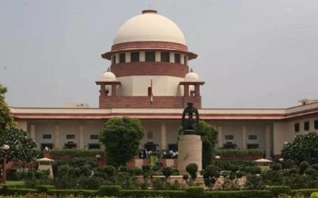 'अपने नाम से डॉक्टर हटा लें': गाजियाबाद दुष्कर्म मामले में 4 साल की बच्ची की मौत पर सुप्रीम कोर्ट ने डॉक्टरों को लगाई फटकार