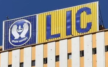 4 अगस्त को खुल रहा है LIC का OFS: यहां जानें सभी जरूरी बातें